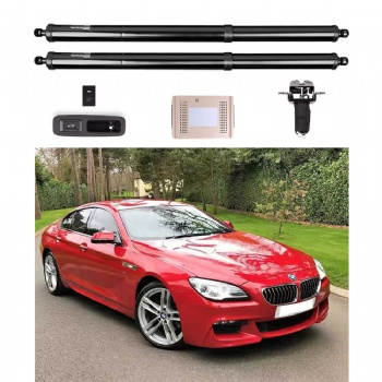 Wholesale auto tail gate lifting system for BMW series 6 640i gran coupe F06